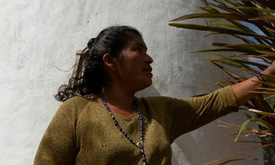 In drought-prone Oaxaca, indigenous women are reviving ancient techniques to preserve water