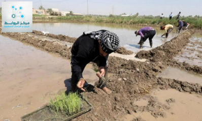 Iraq’s Agricultural Crisis: A 62% Decline in River-Irrigated Land Over a Decade