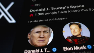 So Donald chatted with Elon, and here’s the future as they see it – losers win, incompetence rules