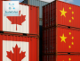 Trade shifts between Canada and China: economic realities and future trends