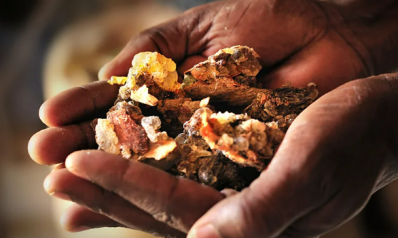 Why the world is running out of frankincense