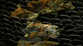 At least 20 killed after military plane carrying banknotes crashes in Bolivia