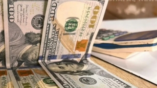 Iraq’s Exchange Rate Fluctuations: A SWOT Analysis and a Roadmap to Protect Citizens