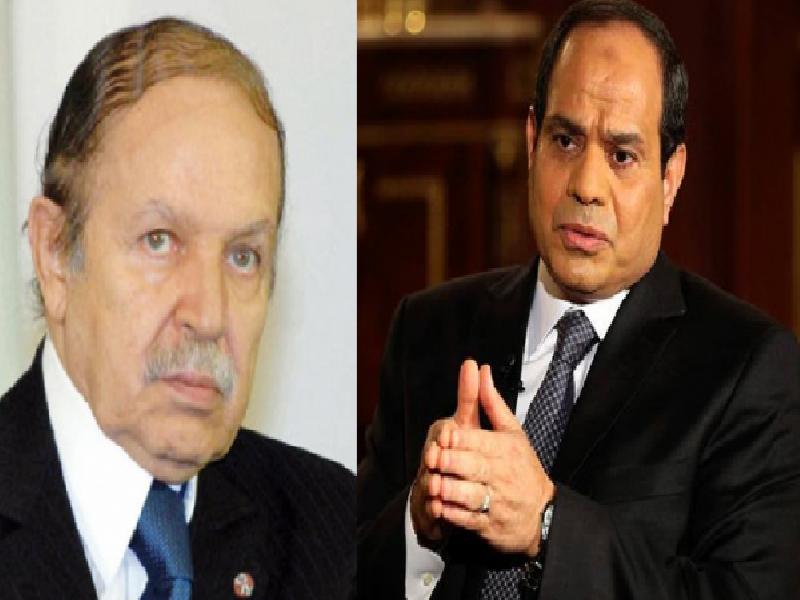 إستراتيجية موحدة: التنسيق المصري– الجزائري لمواجهة الإرهاب في ليبيا