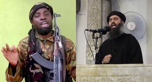 تمدد داعشي: “بوكو حرام” ومبايعة تنظيم “الدولة الإسلامية”.. الأسباب والتداعيات
