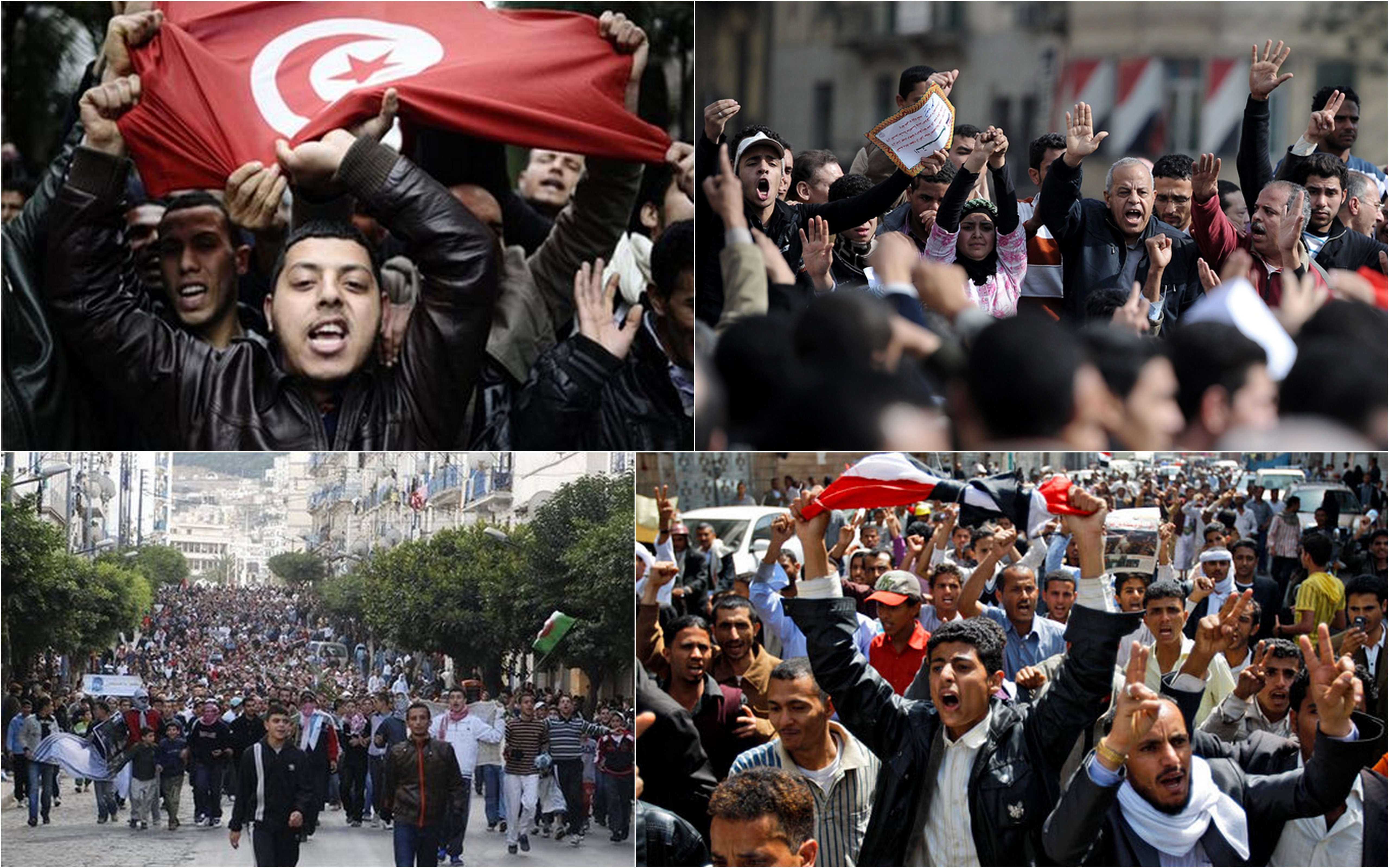 مناهضة الفساد مطلباً في الربيع العربي