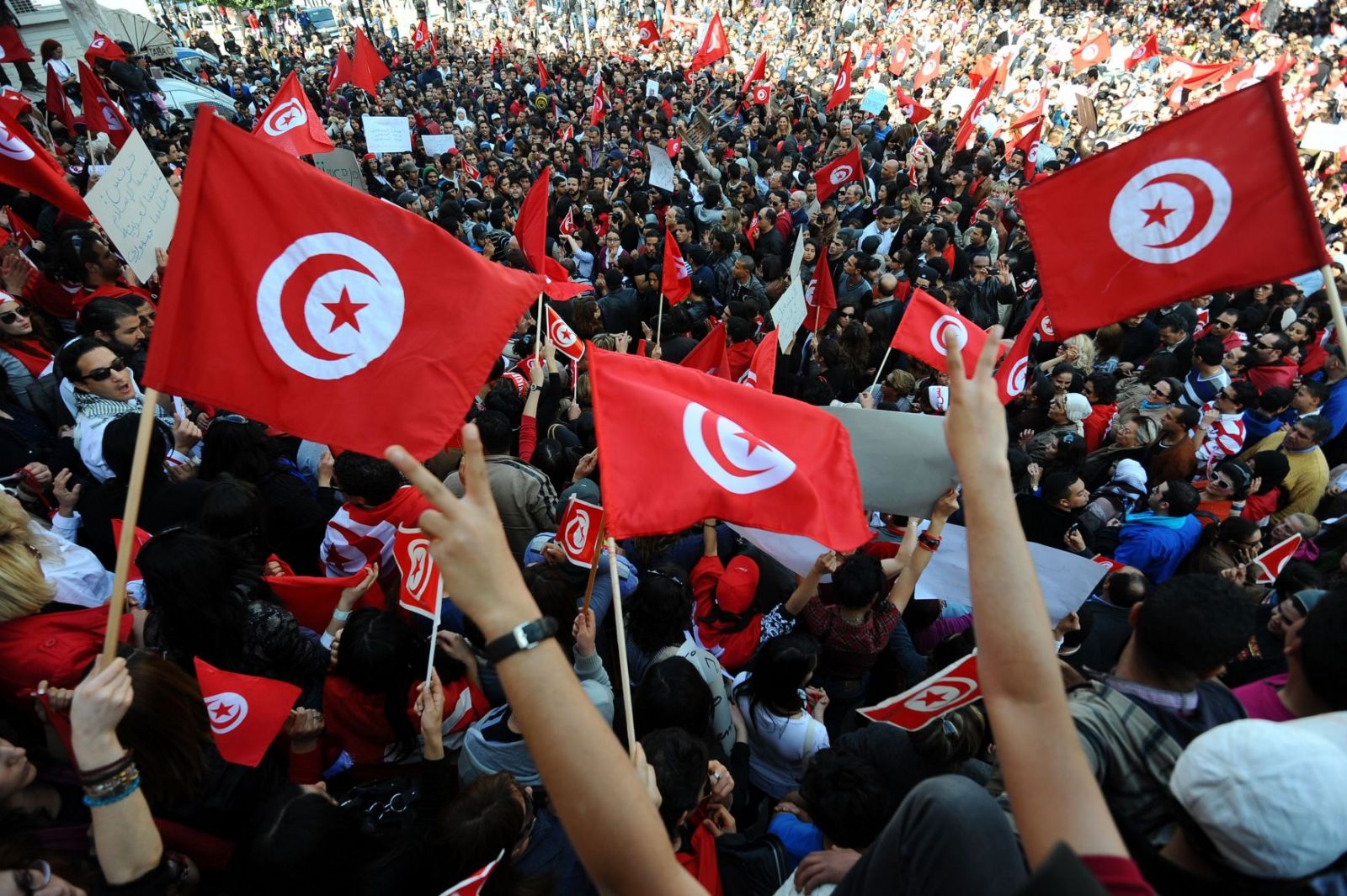 لماذا نجحت تونس وفشل غيرها في التحول الديموقراطي؟