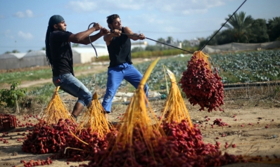 تيار الإصلاح يدعم المصالحة في غزة لإصلاح أكبر في رام الله