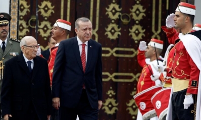 أردوغان والسبسي يبحثان كبريات القضايا المشتركة