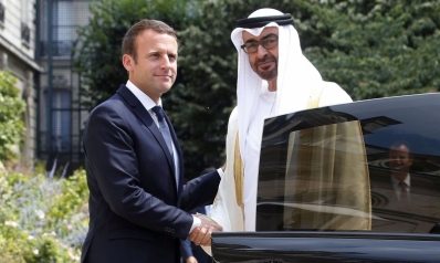 نجاحات الإمارات في أفريقيا ترافق الشيخ محمد بن زايد إلى فرنسا