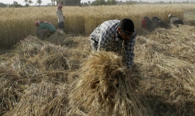 العراق يوقع اتفاقا لاستيراد القمح والأرز من أميركا