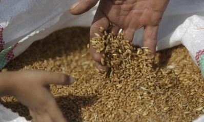 تجار: مصر تؤخر خطابات ضمان لشحنات القمح