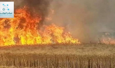 احراق مزارع القمح والشعير أجندات خارجية تسعى لتدمير الاقتصاد الوطني العراقي