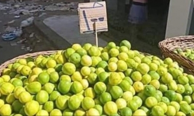 “العملة” الأغلى بمصر.. مغردون يتساءلون هل ينقرض الليمون قريبا؟