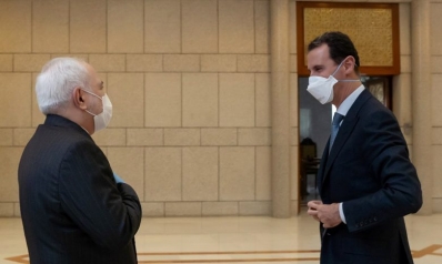 الأسد وظريف والفيلم الروسي الطويل