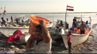 لهذه الأسباب يسترد السمك العراقي عرشه في الأسواق المحلية