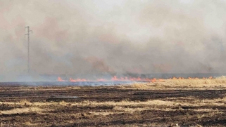 بعد الإعلان عن تحقيق الاكتفاء.. حرائق أتلفت آلاف الدونمات الزراعية بالعراق