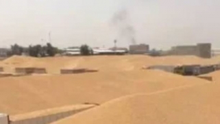 العراق يعلن تحقيق الاكتفاء الذاتي من القمح