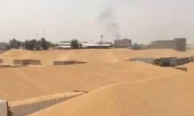 العراق يعلن تحقيق الاكتفاء الذاتي من القمح