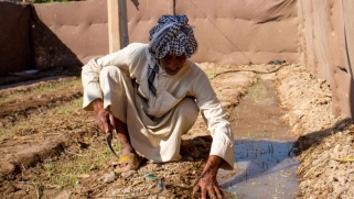 الجشع التركي الإيراني يهدّد بجفاف نهري العراق التاريخيين