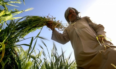 أذرع إيران في العراق تحبط مشروع الشراكة السعودية العراقية في مجال الزراعة