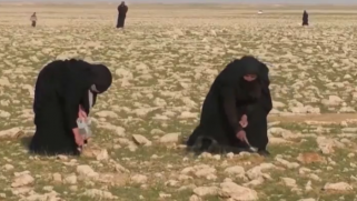 سبيل للرزق على مدى أجيال.. عراقيون يجمعون الكمأة رغم قسوة الأحوال الجوية ومخاطر الألغام