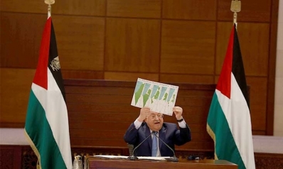 قضية القضايا: فلسطين