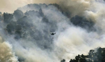 حرائق غابات لبنان تتسع.. ونداءات استغاثة من سكان الشمال