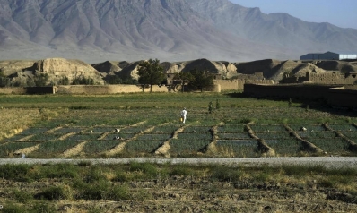 الاقتصاد.. يد طالبان “الضعيفة” في أفغانستان