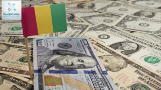 غينيا: هزة مالية تمزق تدفق الألومينيوم في العالم ، وتحدث ارتفاعا بأسعار السيارات وسلع أخرى