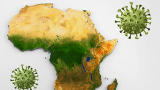 ستراتفور: التأثير الاقتصادي لكوفيد على أفريقيا يكون أشد فتكا من الفيروس