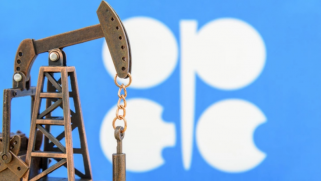 البيت الأبيض يحث أوبك على معالجة مسألة إمدادات النفط
