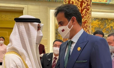 أمير قطر وولي عهد أبوظبي يتبادلان الحديث في لقاء نادر