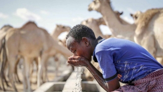 معضلة المياه تؤرق أفريقيا العاجزة عن استغلال كل مواردها المائية