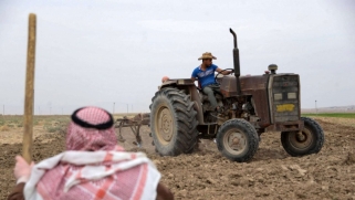 الجفاف يطرد المزارعين العراقيين من أراضيهم