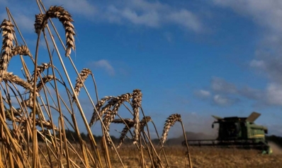 روسيا تستعرض أهم أسلحتها: 50 مليون طن من القمح معدة للتصدير