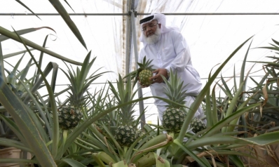 مع تفاقم أزمة الغذاء العالمية، الخليج يقدم الحلول