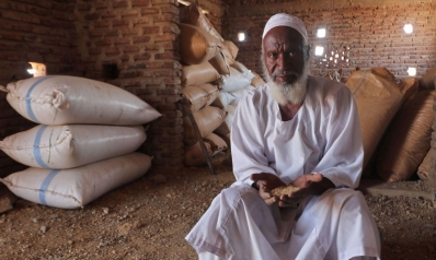 السودان يُجانب أزمة القمح العالمية بالعجز عن تصريف محاصيل مزارعيه