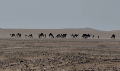 الجفاف وفر أرضا خصبة لانتشار الإسلام في شبه الجزيرة العربية