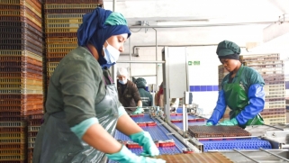 المغرب يسعى لتحويل الداخلة إلى منصة صناعية ولوجستية