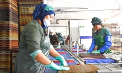 المغرب يسعى لتحويل الداخلة إلى منصة صناعية ولوجستية