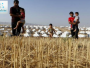 العراق خارج ترتيب الدول في مؤشر الأمن الغذائي العالمي