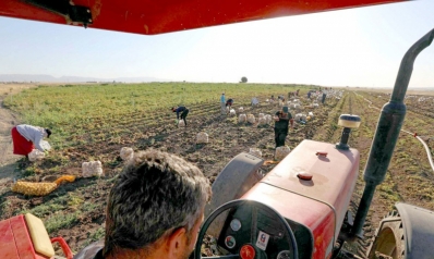 العراق يسعى لزيادة المساحات المزروعة