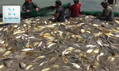 الثروة السمكية في بلاد ما بين النهرين مهددة بالانقراض