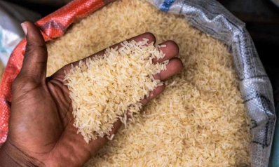 تراجع إنتاج الأرز يهدد إمدادات الغذاء العالمية
