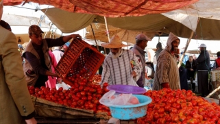 هاجس غذاء المغاربة يفرض تعديل بوصلة النموذج الزراعي