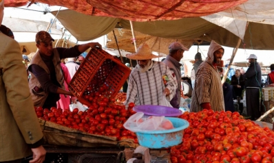 هاجس غذاء المغاربة يفرض تعديل بوصلة النموذج الزراعي