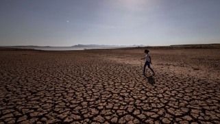 المغرب يواجه تحديات الأمن الغذائي بسبب الجفاف