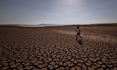 المغرب يواجه تحديات الأمن الغذائي بسبب الجفاف