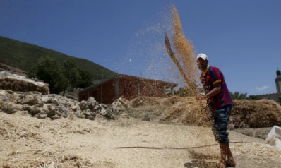 المغرب يسعى لاستيراد 2.5 مليون طن من القمح